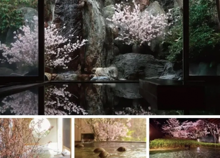 suối nước nóng